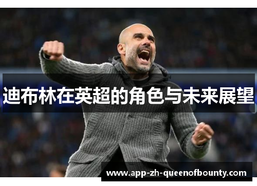 迪布林在英超的角色与未来展望