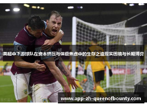英超中下游球队在资本挤压与保级焦虑中的生存之道现实困境与长期博弈